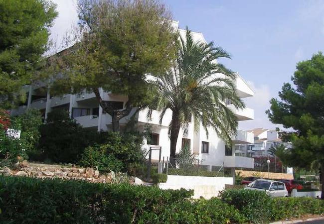 Apartamento en Alcoceber / Alcossebre - Montemar