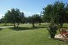 Apartamento en Sant Jordi - Aldea Golf 6/8(1)
