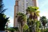 Apartamento en Benidorm - Benidorm Playa 3000