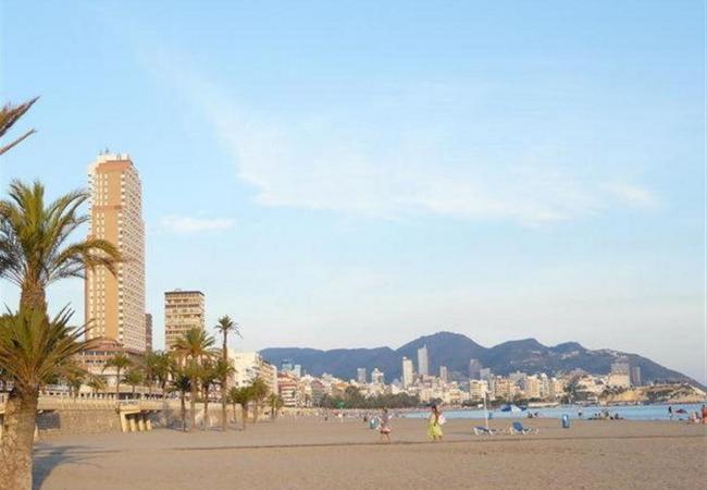 Apartamento en Benidorm - Benidorm Playa 3000 4/6