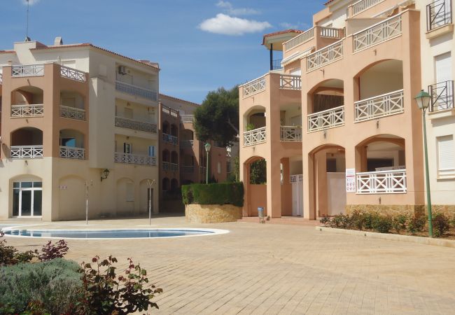 alquiler de apartamentos en la playa alquiler de apartamentos para vacaciones playa vacaciones alquiler de apartamentos en la playa alquiler de apartamentos para vacaciones playa vacaciones