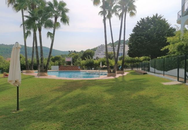 Apartamento en Peñiscola - ARCOS 4/6 LEK Apartamento en Peñiscola - ARCOS 4/6 LEK