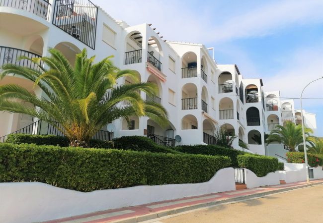 Apartamento en Peñiscola - ARCOS 4/6 LEK Apartamento en Peñiscola - ARCOS 4/6 LEK