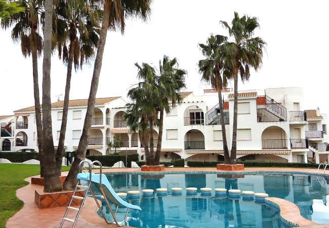 Apartamento en Peñiscola - ARCOS 4/6 LEK Apartamento en Peñiscola - ARCOS 4/6 LEK