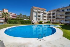 Apartamento en Alcoceber / Alcossebre -  El Palmeral - Apartamento Playa Cargador