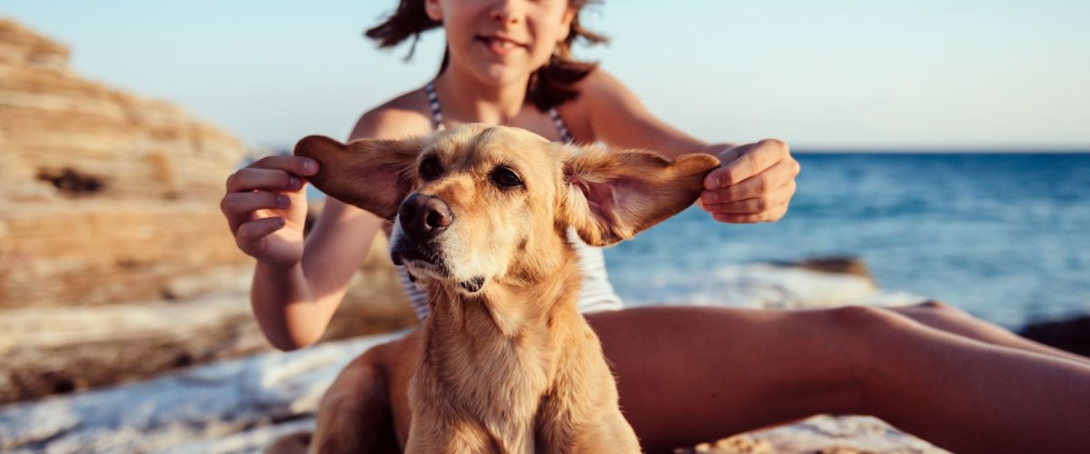 mejores apartamentos en peñíscola que admiten mascotas