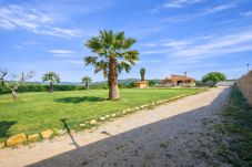 Villa in Alcoceber - PALAVA 2018