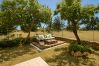 Villa in Alcoceber / Alcossebre - Zen Garden Villa Alcossebre 