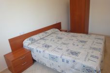 Apartment in Alcocebre / Alcossebre - Apartment of 1 bedrooms in Alcoceber / Alcossebre
