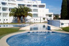 Apartment in Alcocebre / Alcossebre - Apartment with swimming pool to 250 m beach