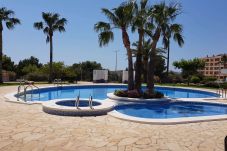 Apartment in Alcocebre / Alcossebre - SIERRA DE IRTA 2106 - 2019