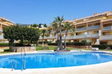 Apartment in Alcocebre / Alcossebre - SIERRA DE IRTA 2106 - 2019