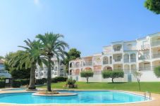 Rent appartments Font Nova with swimming pool Peñíscola