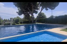 Studio in Alcocebre / Alcossebre -  Estudio con WiFi y aire a 200 metros de la playa