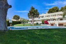 Studio in Alcocebre / Alcossebre -  Estudio con WiFi y aire a 200 metros de la playa