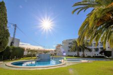 Apartment in Alcocebre / Alcossebre -  PLAYA ROMANA a 200 metros de la playa