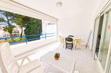Apartment in Alcocebre / Alcossebre -  PLAYA ROMANA a 200 metros de la playa