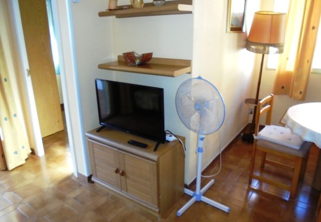 Apartment in Peñiscola - La Palmera. Apartment in Peñiscola - La Palmera.