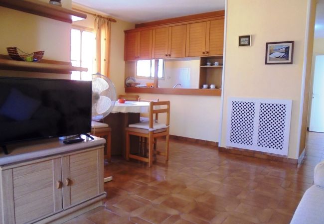 Apartment in Peñiscola - La Palmera. Apartment in Peñiscola - La Palmera.