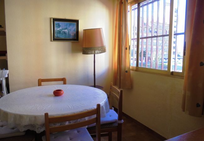 Apartment in Peñiscola - La Palmera. Apartment in Peñiscola - La Palmera.