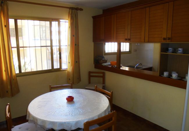 Apartment in Peñiscola - La Palmera. Apartment in Peñiscola - La Palmera.
