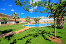 Maison mitoyenne à Alcocebre / Alcossebre -  Adosado familiar Palm Beach 130 ALCOSSEBRE