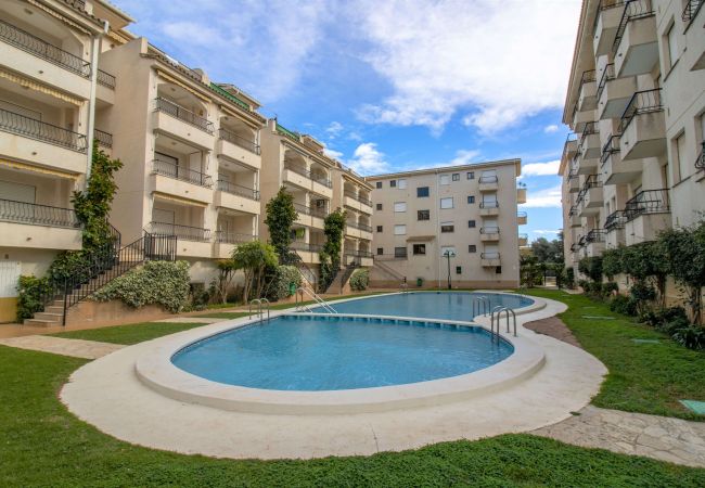 Appartement à Alcocebre / Alcossebre -  PRIMERA LÍNEA PLAYA CARGADOR - Playamar 1021 Appartement à Alcocebre / Alcossebre -  PRIMERA LÍNEA PLAYA CARGADOR - Playamar 1021