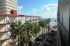 Logement au bord de mer à Playa Norte 